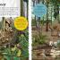 DKfindout! Forest - thumbnail of spread image 4 Thumbnail image of DKfindout! Forest - 4