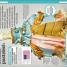 ¿Verdadero o Falso? - thumbnail of spread image 3 Thumbnail image of ¿Verdadero o Falso? - 3