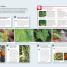 Garden Rescue - thumbnail of spread image 4 Thumbnail image of Garden Rescue - 4