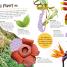 Ultimate Sticker Book: Jungle - thumbnail of spread image 3 Thumbnail image of Ultimate Sticker Book: Jungle - 3