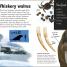 Amazing Giant Sea Creatures - thumbnail of spread image 1 Thumbnail image of Amazing Giant Sea Creatures - 1