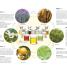 Neal's Yard Remedies Essential Oils - thumbnail of spread image 2 Thumbnail image of Neal's Yard Remedies Essential Oils - 2