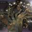 Through the Night Sky - thumbnail of spread image 3 Thumbnail image of Through the Night Sky - 3