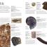 Geography A Children's Encyclopedia - thumbnail of spread image 3 Thumbnail image of Geography A Children's Encyclopedia - 3