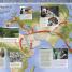 Evolution The Human Story - thumbnail of spread image 3 Thumbnail image of Evolution The Human Story - 3