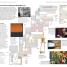 DK Eyewitness Travel Guide San Francisco and Northern California - thumbnail of spread image 6 Thumbnail image of DK Eyewitness Travel Guide San Francisco and Northern California - 6