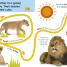 Follow the Trail Wild Animals - thumbnail of spread image 1 Thumbnail image of Follow the Trail Wild Animals - 1