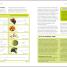 Foods to Fight Cancer - thumbnail of spread image 2 Thumbnail image of Foods to Fight Cancer - 2