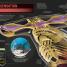 Super Shark Encyclopedia - thumbnail of spread image 1 Thumbnail image of Super Shark Encyclopedia - 1