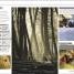Digital Photography Through the Year - thumbnail of spread image 3 Thumbnail image of Digital Photography Through the Year - 3