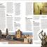 DK Eyewitness Travel Guide Jerusalem, Israel and the Palestinian Territories - thumbnail of spread image 8 Thumbnail image of DK Eyewitness Travel Guide Jerusalem, Israel and the Palestinian Territories - 8