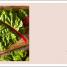 Veg in One Bed - thumbnail of spread image 2 Thumbnail image of Veg in One Bed - 2