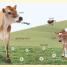 My First Farm - thumbnail of spread image 1 Thumbnail image of My First Farm - 1