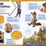 Ultimate Sticker Book: Disney Zootopia - thumbnail of spread image 2 Thumbnail image of Ultimate Sticker Book: Disney Zootopia - 2