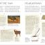 Myths & Legends - thumbnail of spread image 2 Thumbnail image of Myths & Legends - 2