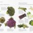 Eat More Vegetables - thumbnail of spread image 3 Thumbnail image of Eat More Vegetables - 3