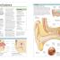BMA Complete Home Medical Guide - thumbnail of spread image 3 Thumbnail image of BMA Complete Home Medical Guide - 3