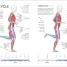 Science of Running - thumbnail of spread image 5 Thumbnail image of Science of Running - 5