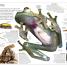 DK Eyewitness Books: Animal - thumbnail of spread image 3 Thumbnail image of DK Eyewitness Books: Animal - 3