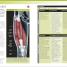 Everyday Sports Injuries - thumbnail of spread image 3 Thumbnail image of Everyday Sports Injuries - 3