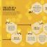 The Bee Book - thumbnail of spread image 3 Thumbnail image of The Bee Book - 3
