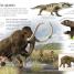 Eye Wonder: Early People - thumbnail of spread image 3 Thumbnail image of Eye Wonder: Early People - 3
