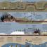 Timelines of Everything - thumbnail of spread image 4 Thumbnail image of Timelines of Everything - 4