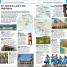 Top 10 Honolulu and O'ahu - thumbnail of spread image 5 Thumbnail image of Top 10 Honolulu and O'ahu - 5