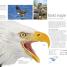 Wildlife of the World - thumbnail of spread image 3 Thumbnail image of Wildlife of the World - 3