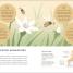 Breathwork - thumbnail of spread image 4 Thumbnail image of Breathwork - 4