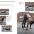 Urban Calisthenics - thumbnail of spread image 3 Thumbnail image of Urban Calisthenics - 3