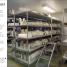 Behind the Scenes at the Museum - thumbnail of spread image 4 Thumbnail image of Behind the Scenes at the Museum - 4