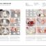 Complete Baking - thumbnail of spread image 3 Thumbnail image of Complete Baking - 3