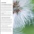 Digital Photography Masterclass - thumbnail of spread image 3 Thumbnail image of Digital Photography Masterclass - 3