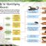 DK Adventures: Bug Hunters - thumbnail of spread image 2 Thumbnail image of DK Adventures: Bug Hunters - 2