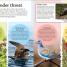 DKfindout! Birds - thumbnail of spread image 3 Thumbnail image of DKfindout! Birds - 3