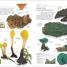 Mushrooms - thumbnail of spread image 3 Thumbnail image of Mushrooms - 3