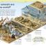 Did You Know? - thumbnail of spread image 2 Thumbnail image of Did You Know? - 2