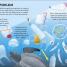 The Sea Book - thumbnail of spread image 4 Thumbnail image of The Sea Book - 4