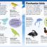 Animals Sticker Encyclopedia - thumbnail of spread image 3 Thumbnail image of Animals Sticker Encyclopedia - 3