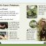 DK Readers L1: A Year on the Farm - thumbnail of spread image 1 Thumbnail image of DK Readers L1: A Year on the Farm - 1