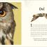 An Anthology of Intriguing Animals - thumbnail of spread image 3 Thumbnail image of An Anthology of Intriguing Animals - 3