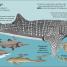 The Sea Book - thumbnail of spread image 4 Thumbnail image of The Sea Book - 4