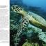 Natural History - thumbnail of spread image 4 Thumbnail image of Natural History - 4