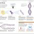 How to Be Good at Science, Technology, and Engineering - thumbnail of spread image 9 Thumbnail image of How to Be Good at Science, Technology, and Engineering - 9