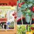RHS Let's Get Gardening - thumbnail of spread image 3 Thumbnail image of RHS Let's Get Gardening - 3