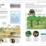 Help Your Kids with Geography - thumbnail of spread image 3 Thumbnail image of Help Your Kids with Geography - 3