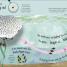 RHS How Does a Frog Grow? - thumbnail of spread image 1 Thumbnail image of RHS How Does a Frog Grow? - 1