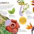 Jungle Ultimate Sticker Book - thumbnail of spread image 4 Thumbnail image of Jungle Ultimate Sticker Book - 4
