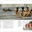 Digital Photographer's Handbook - thumbnail of spread image 6 Thumbnail image of Digital Photographer's Handbook - 6